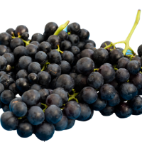 Cómo Se Toma Vino Tinto - Uvas Tintas